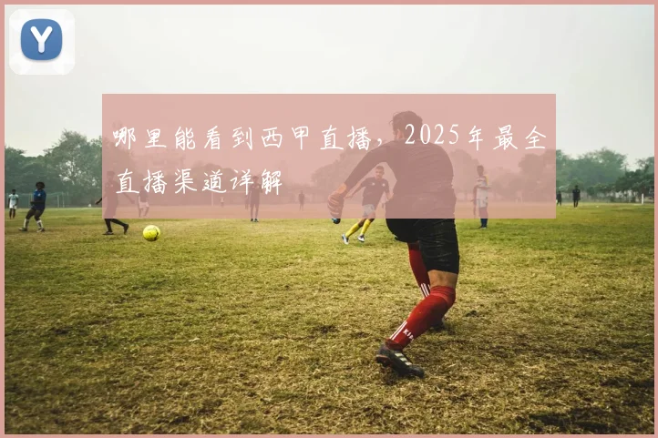 哪里能看到西甲直播，2025年最全直播渠道详解