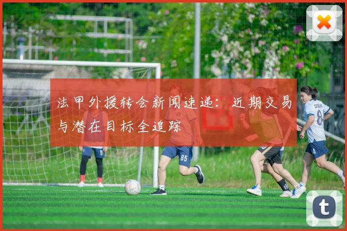 法甲外援转会新闻速递：近期交易与潜在目标全追踪