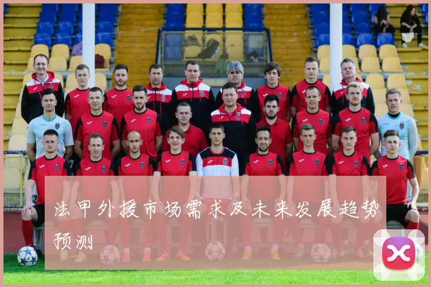 法甲外援市场需求及未来发展趋势预测