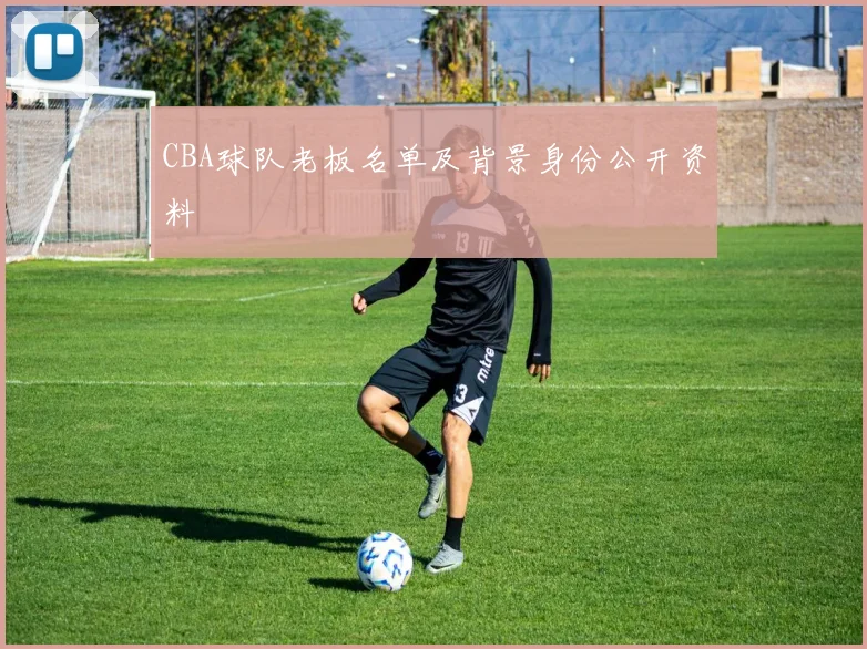 CBA球队老板名单及背景身份公开资料