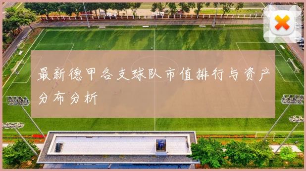 最新德甲各支球队市值排行与资产分布分析