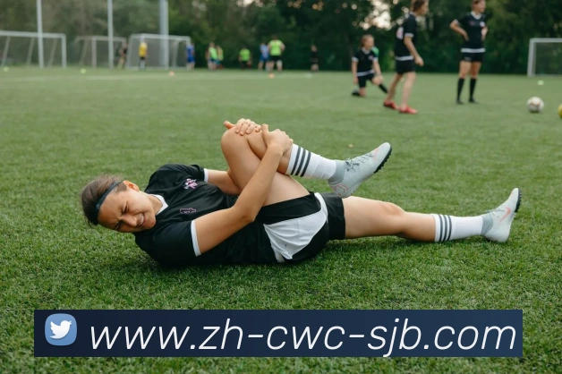 世界杯买球平台生态图